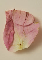 AYU - SMOKING ROSE PERFUME OIL - 15ML