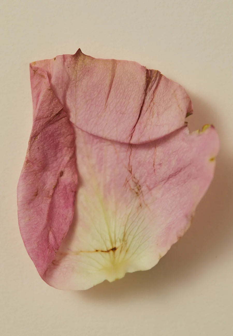 AYU - SMOKING ROSE PERFUME OIL - 15ML
