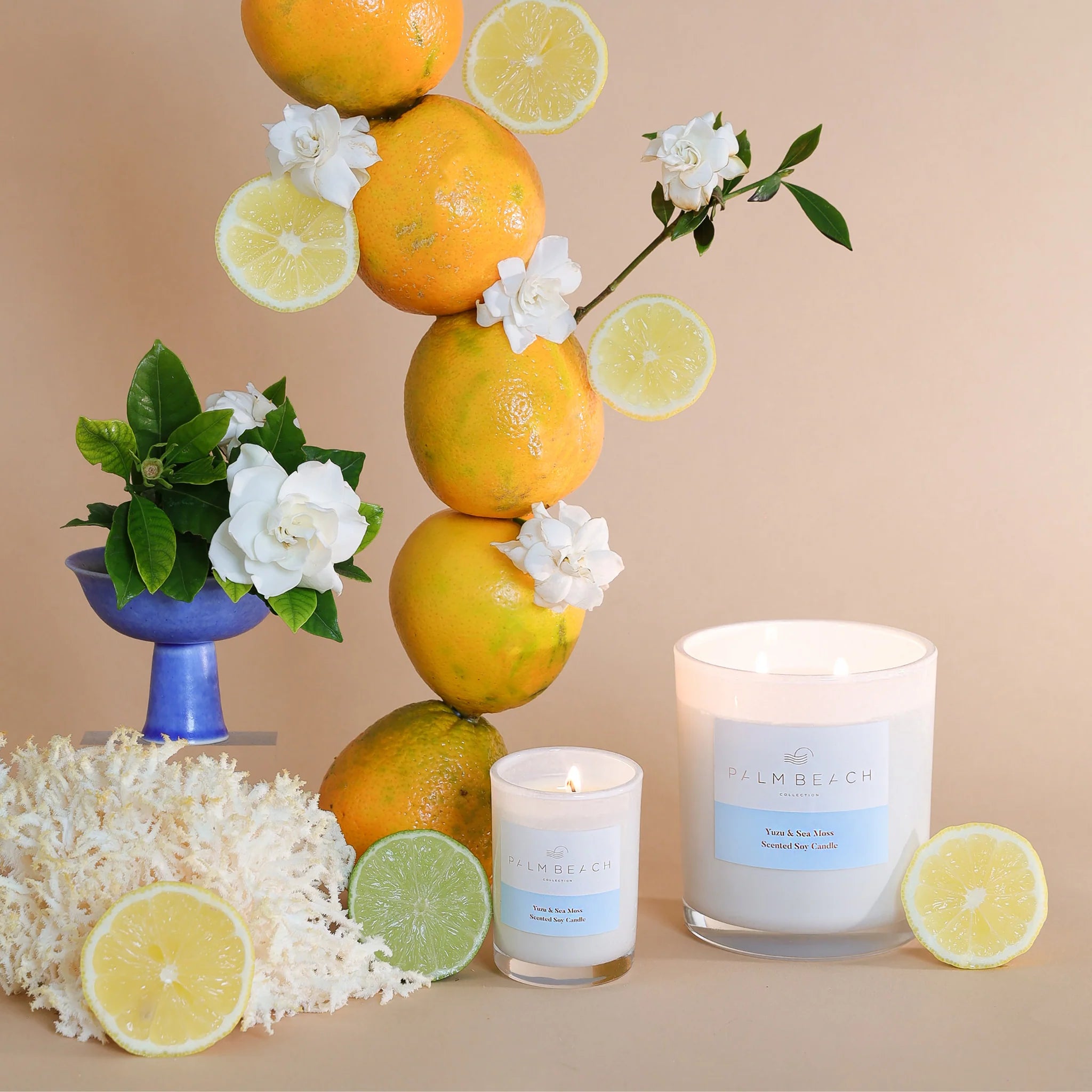 PALM BEACH COLLECTION - MINI CANDLE 90G - YUZU & SEA MOSS