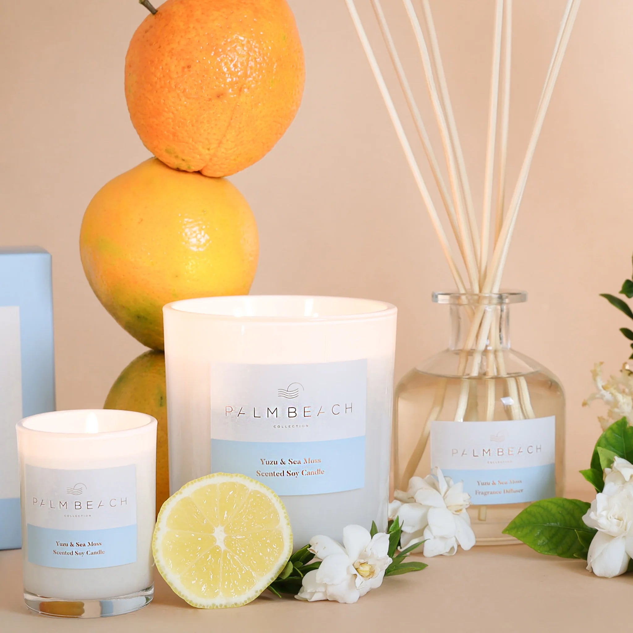 PALM BEACH COLLECTION - STANDARD CANDLE - YUZU & SEA MOSS