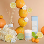 PALM BEACH COLLECTION - 50ML MINI FRAGRANCE DIFFUSER - YUZU & SEA MOSS