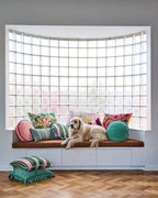 KIP & CO - VELVET PEA CUSHION - PISTACHIO