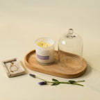 PALM BEACH COLLECTION - SLEEP SCENTED CANDLE 420G