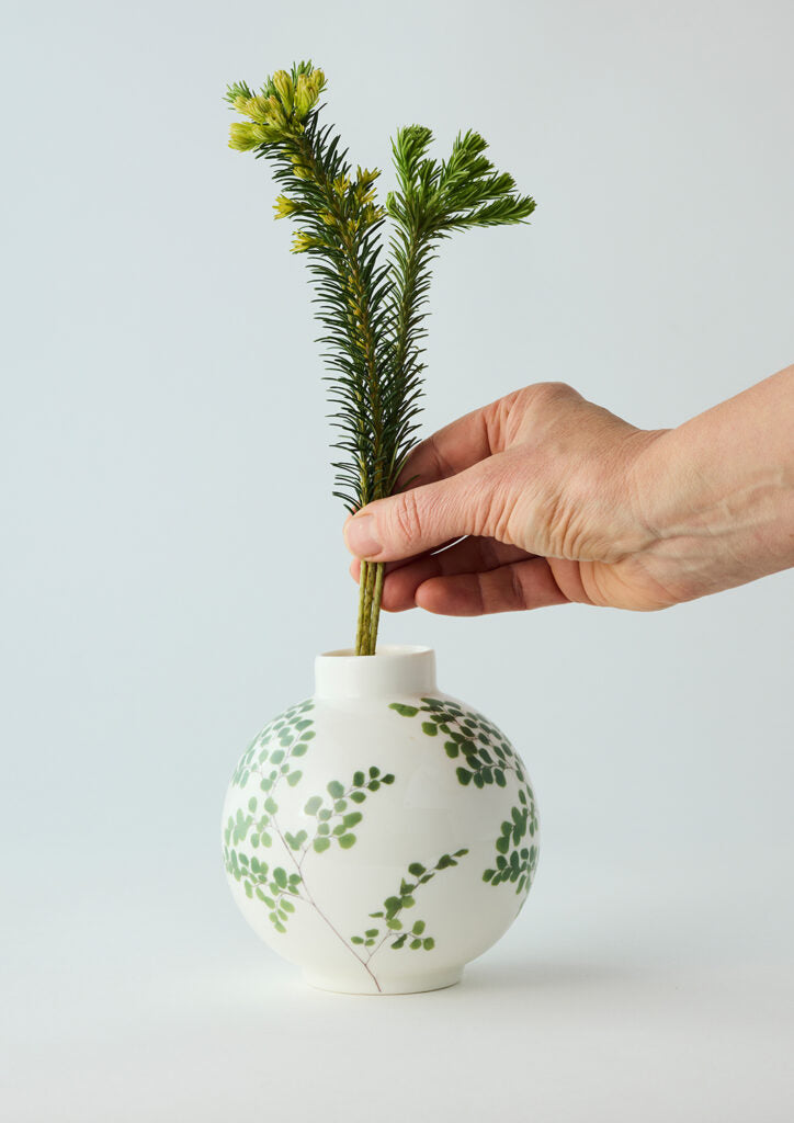 ANGUS & CELESTE - BULB VASE - MAIDEN FERN
