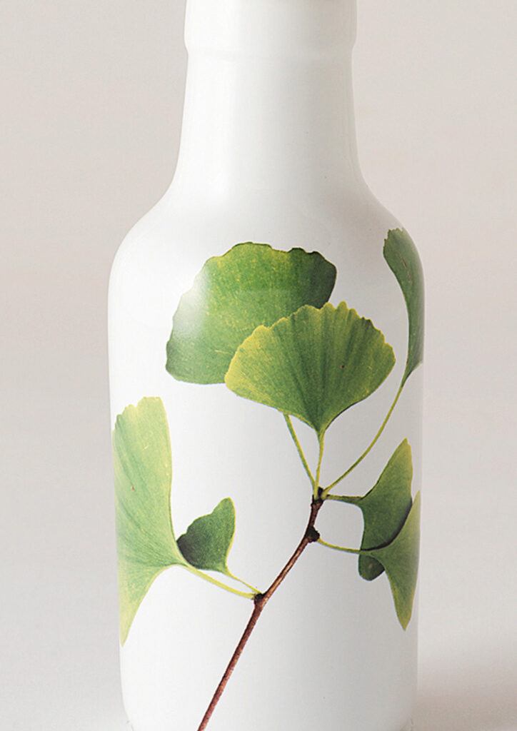 ANGUS & CELESTE - BOTANICAL VASE - GINKGO