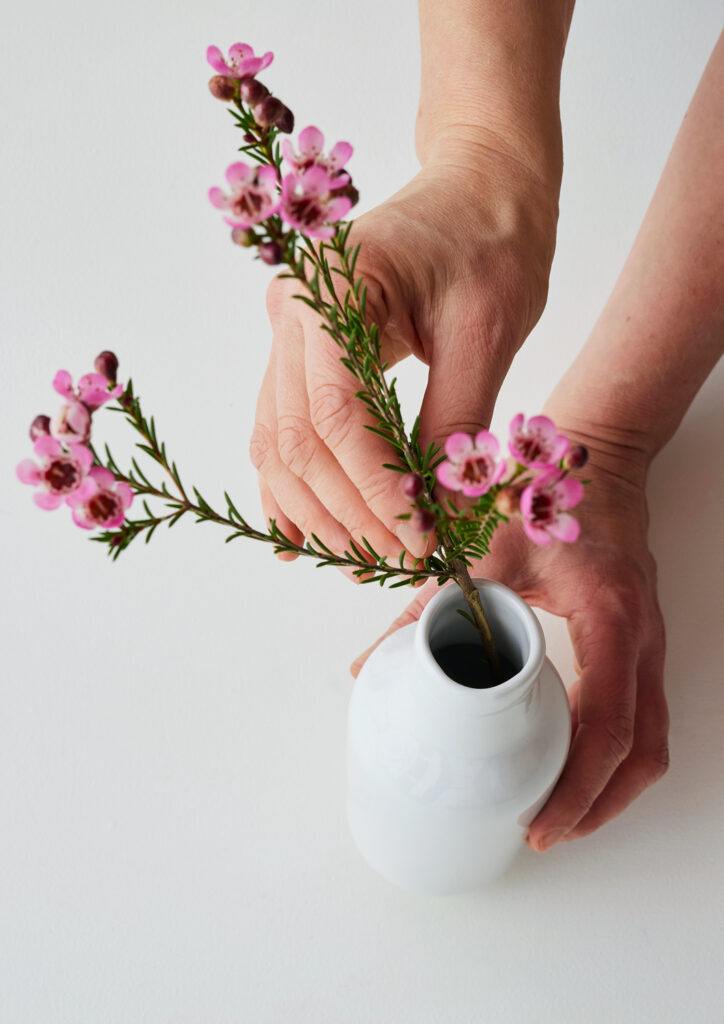 ANGUS & CELESTE - BOTANICAL VASE - GREVILLEA