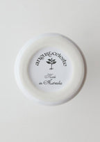 ANGUS & CELESTE - BOTANICAL VASE - GINKGO