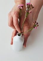 ANGUS & CELESTE - BOTANIC BOTTLE - JAPONIC BLOOM