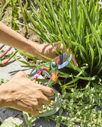 KIP & CO - GARDEN SECATEURS AND GLOVES SET - VEGGIE SOUP