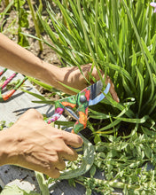 Load image into Gallery viewer, KIP &amp; CO - GARDEN SECATEURS AND GLOVES SET - VEGGIE SOUP
