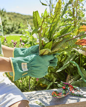 Load image into Gallery viewer, KIP &amp; CO - GARDEN SECATEURS AND GLOVES SET - VEGGIE SOUP
