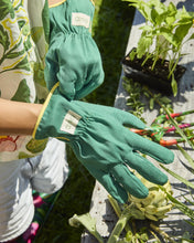 Load image into Gallery viewer, KIP &amp; CO - GARDEN SECATEURS AND GLOVES SET - VEGGIE SOUP
