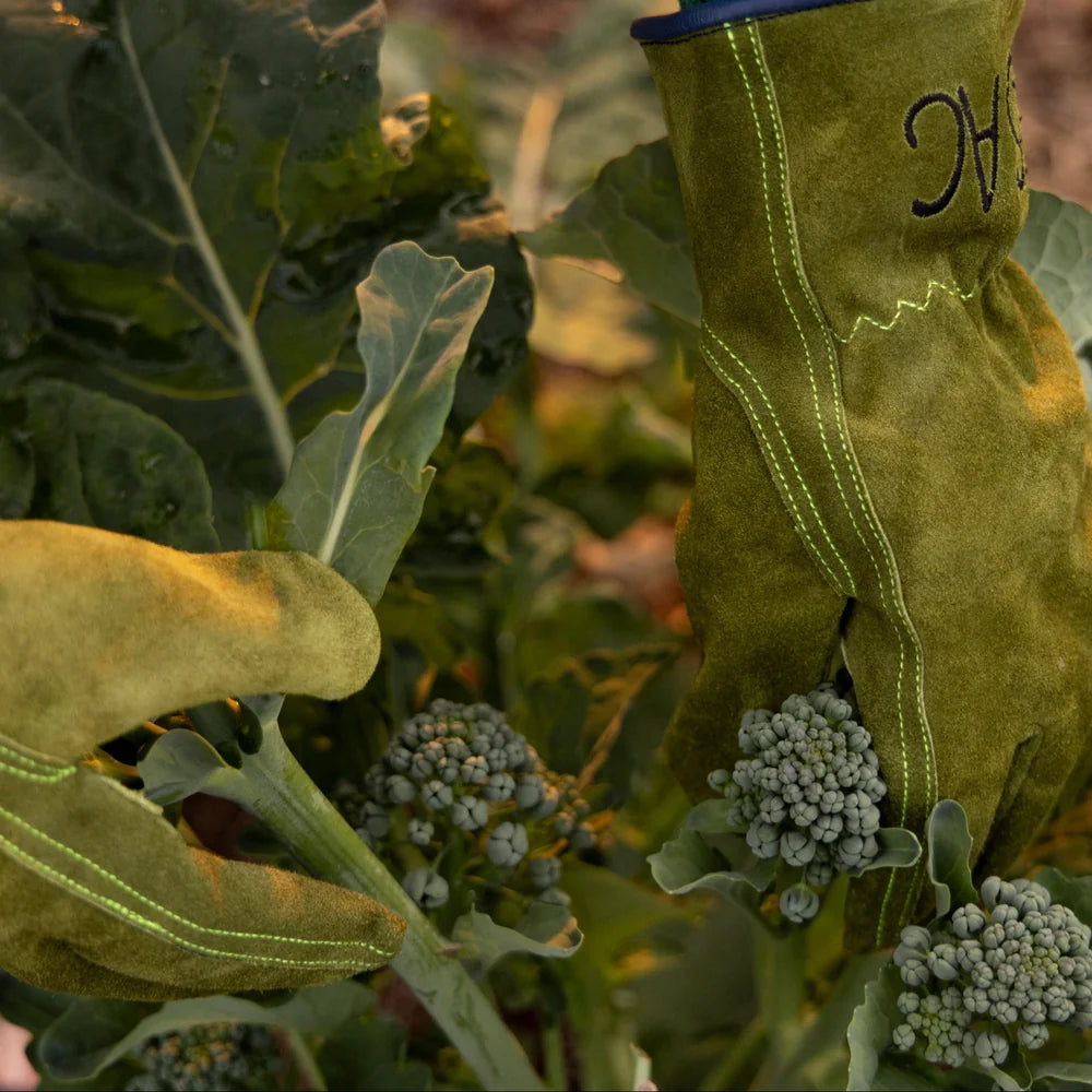 LESAC - EVERYDAY GLOVE - OLIEVE GREEN