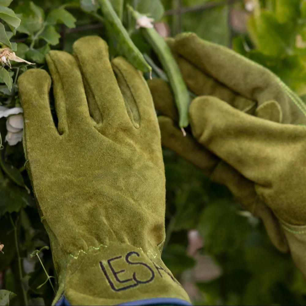 LESAC - EVERYDAY GLOVE - OLIEVE GREEN
