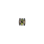 AYALA BAR - FOREST REFLECTION SET - RADIANT RING - FYILI