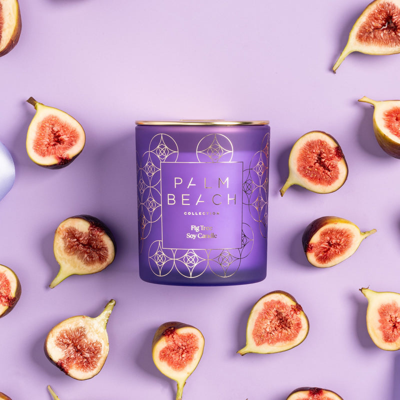 PALM BEACH COLLECTION - STANDARD CHRISTMAS CANDLE - FIG TREE