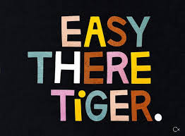 RACHEL CASTLE - ART TEATOWEL - EASY THERE TIGER