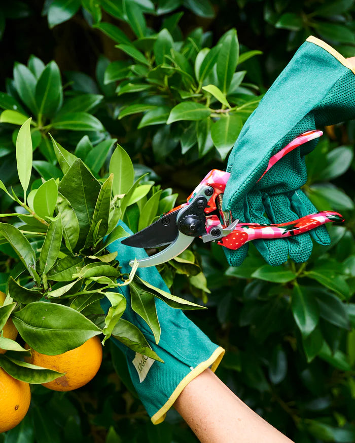 KIP & CO - STRAWBERRY JAM GARDEN SECATEURS AND GLOVES SET