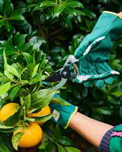Load image into Gallery viewer, KIP &amp; CO - TUMBLING FLOWERS GREEN GARDEN SECATEURS AND GLOVES SET
