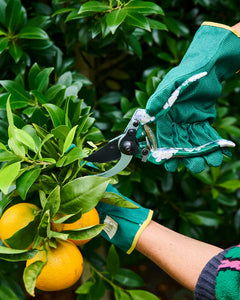 KIP & CO - TUMBLING FLOWERS GREEN GARDEN SECATEURS AND GLOVES SET