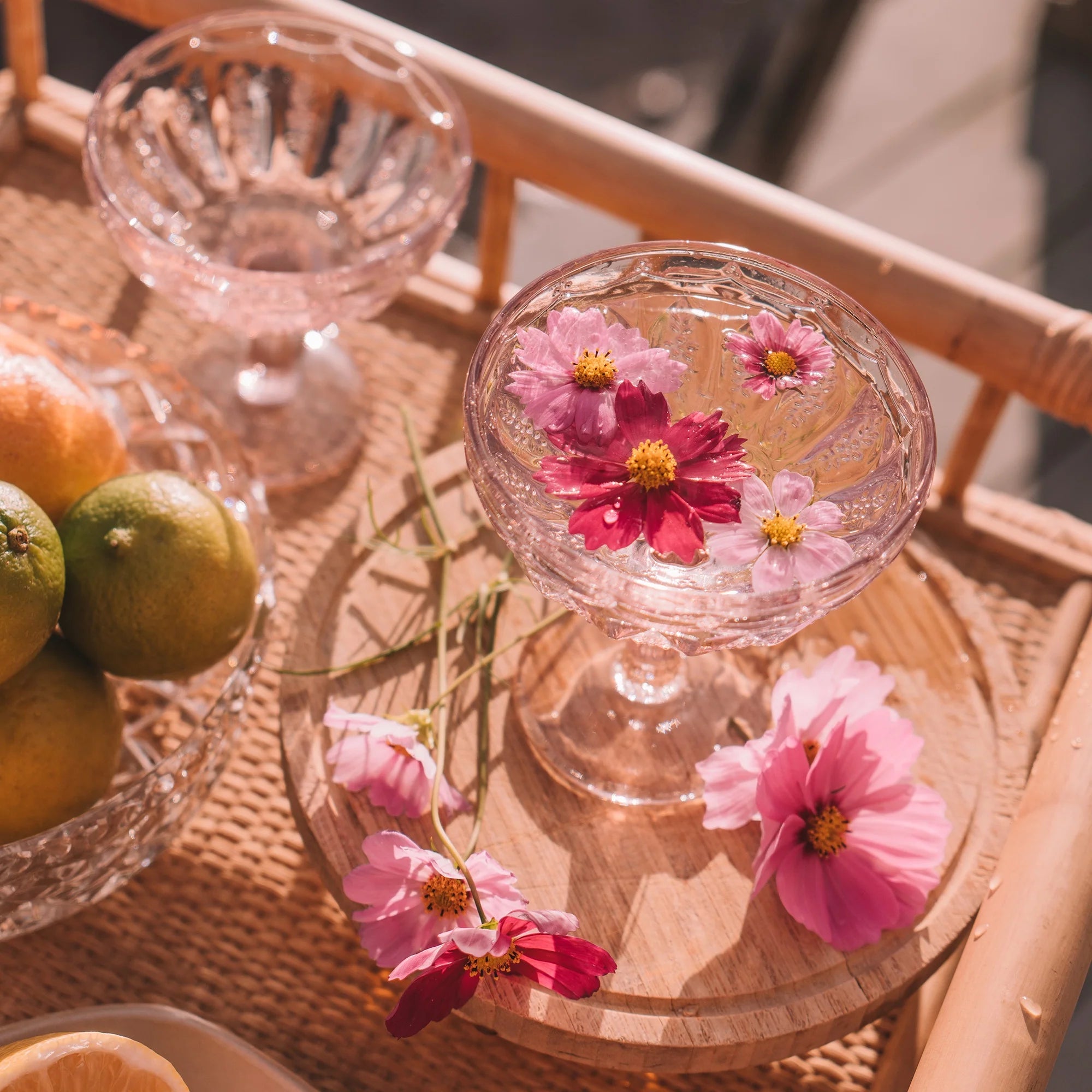 WANDERING FOLK - PRIMROSE MARGARITA GLASS (SET OF 2)