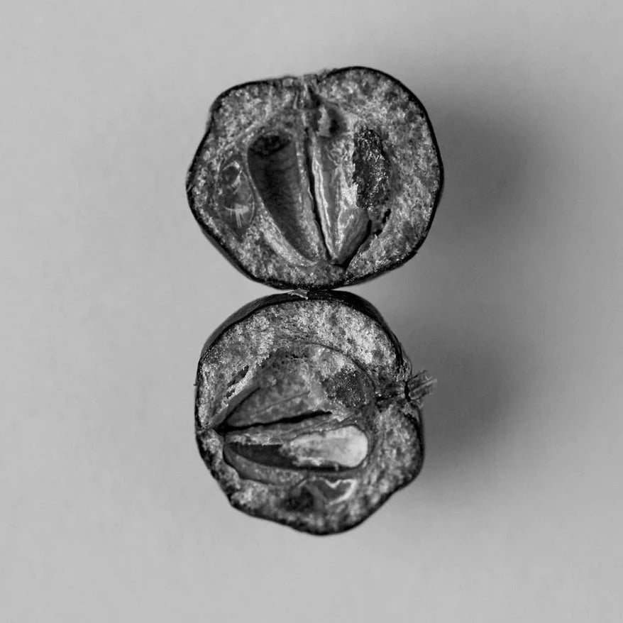 AYU - BODY OIL 100ML - JUNIPER BERRY, PETITGRAIN & VETIVER