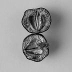 AYU - BODY OIL 100ML - JUNIPER BERRY, PETITGRAIN & VETIVER