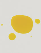 ADDITION STUDIO - AUSTRALIAN NATIVE ESSENTIAL OIL - EUCALYPTUS & KUNZEA